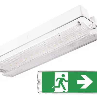 Lampa awaryjna Orion LED II 150 SA 3H MT LT