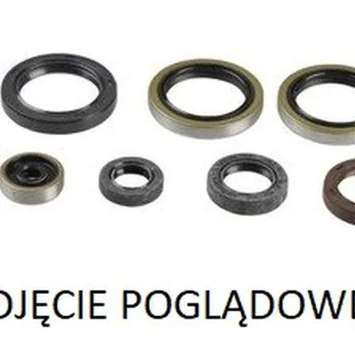 Zestaw uszczelniaczy silnikowych GAS GAS EC 250 / Ex 300 21 / Husqvarna TC 250 17-19 / TE 250/300 17-19 / Tx 300 17-19 / KTM Sx/xC/xC-W 250/300 17-21 (822976) PSYCHIC