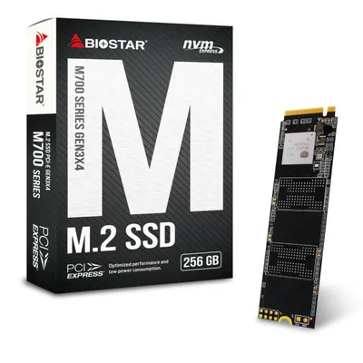 Dysk SSD Biostar M700 M.2 NVMe PCI-E x4 Gen3 256GB BOX