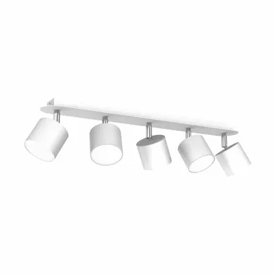 Lampa sufitowa DIXIE WHITE 5xGX53, biała, 5 kloszy, kierunkowe