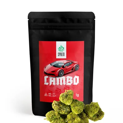 Susz Konopny Spalto CBD Premium Lambo