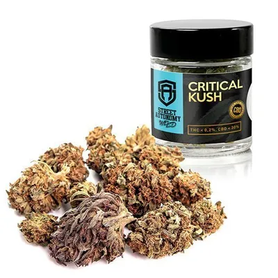 Susz Konopny CBD Street Autonomy Critical Kush Premium 2g