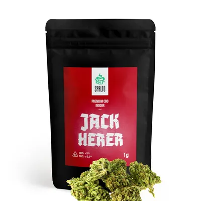 Susz Konopny Spalto CBD Premium Jack Herer