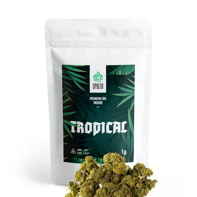 Susz Konopny Spalto CBD Premium Tropical