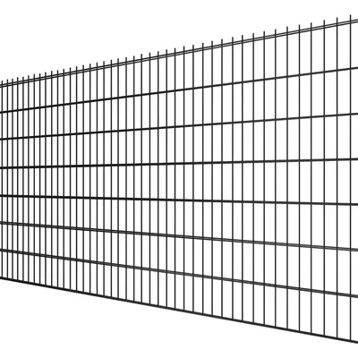 Panel ogrodzeniowy 2D h-1230 6/5/6 RAL