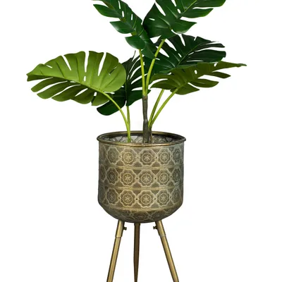 Dutchbone - Planter BOTANIQUE rozmiar L