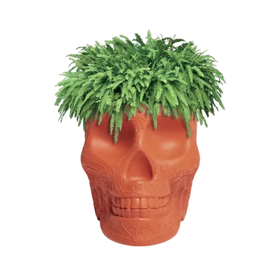 QeeBoo - Mexico Planter (terracotta)