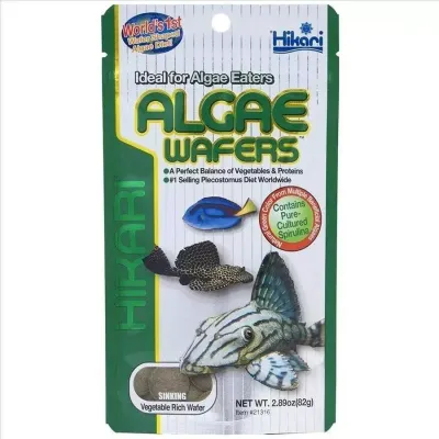 Hikari Tropoical Algae Wafers 82g