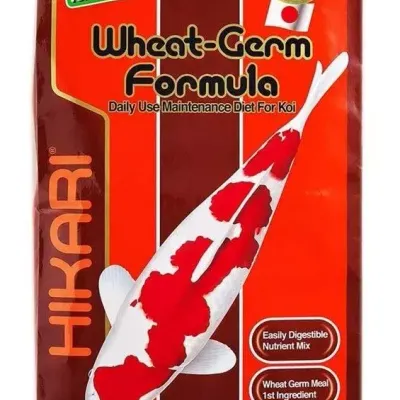 Hikari Koi Wheat-Germ Formula M 10kg