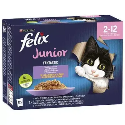 Felix Fantastic Junior W Galaretce 12x85g