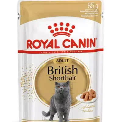 ROYAL CANIN British Shorthair Adult 12x85g