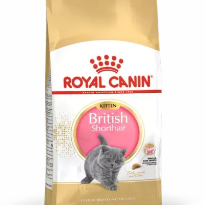 ROYAL CANIN British Shorthair Kitten 2kg