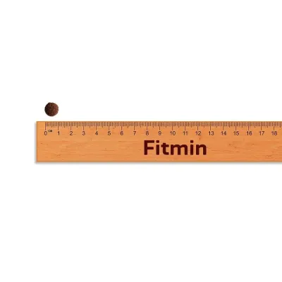 Fitmin Cat For Life Adult Salmon 8kg