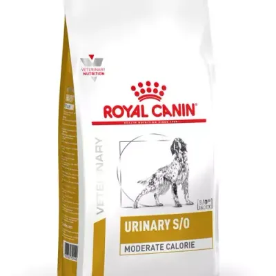 ROYAL CANIN Urinary S/O Moderate Calorie 12kg