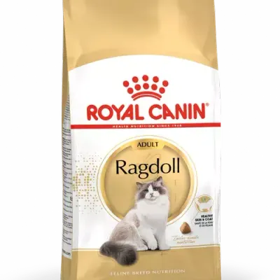 ROYAL CANIN Ragdoll Adult 2kg