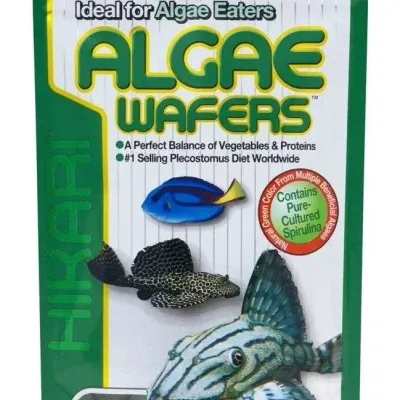 Hikari Tropoical Algae Wafers 250g