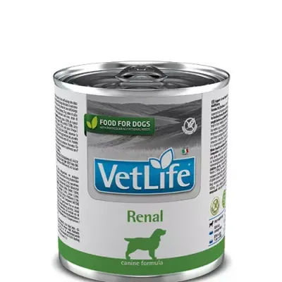 Farmina Vet Life Canine Renal 300g