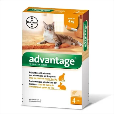 Bayer Advantage Roztwór Do Nakrapiania Dla Kotów 4x0,4ml