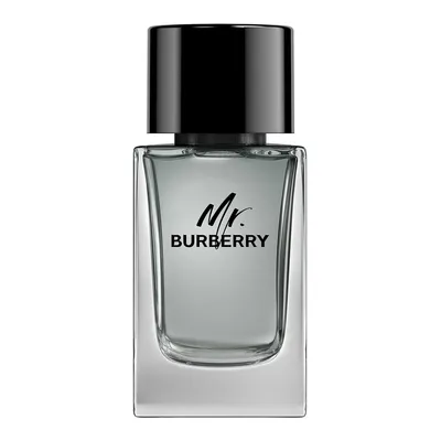 Burberry Mr. Burberry woda toaletowa 150 ml