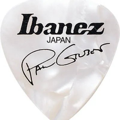 Kostka do gitary Ibanez B1000PG-PW Paul Gilbert 1,0mm Heavy