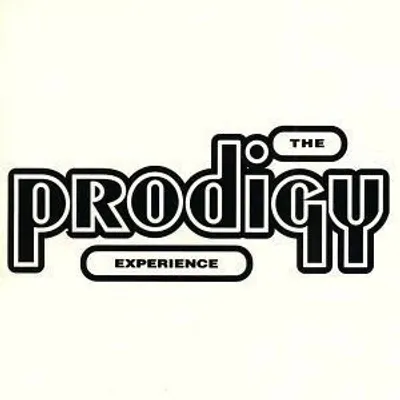 The Prodigy - Experience 2LP płyta winylowa