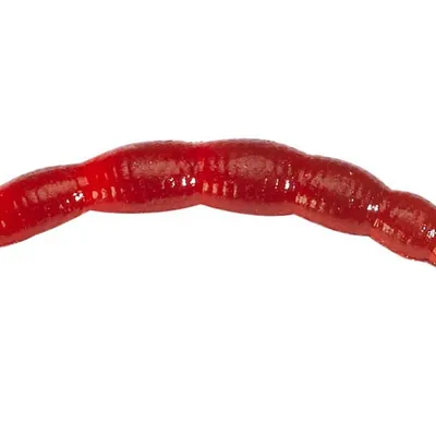 Sztuczna ochotka Berkley Powerbait Micro Blood Worm