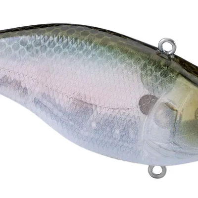 Wobler Spro Aruku Shad