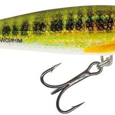 Wobler Salmo Minnow