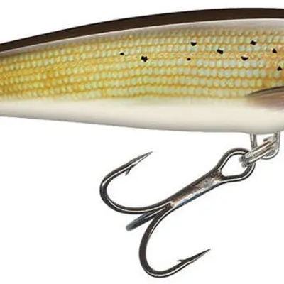 Wobler Salmo Minnow