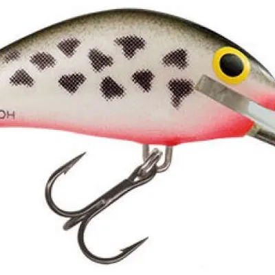 Wobler Salmo Hornet SDR