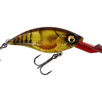 Wobler Westin Buzzbite Crankbait