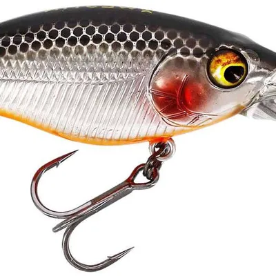 Wobler Westin BuzzBite DR Crankbait