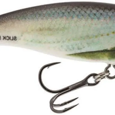 Wobler Salmo Slick