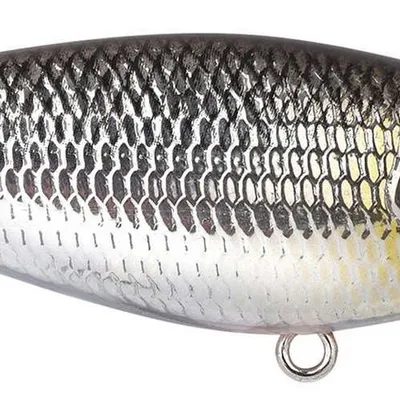 Wobler Spro Ikiru Shad SL