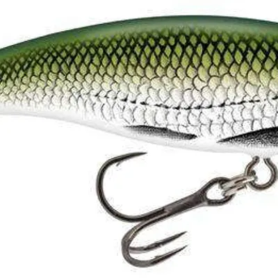 Wobler Salmo Slick Stick