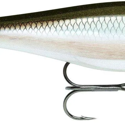 Wobler Rapala BX Minnow