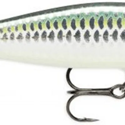 Wobler Rapala Flat Rap