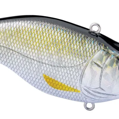 Wobler Spro Aruku Shad