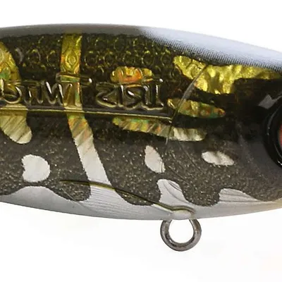 Wobler Spro Iris Twitchy Jointed DR