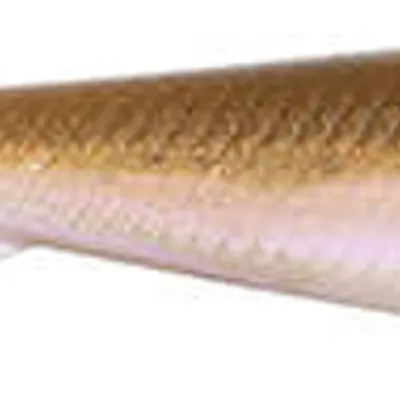 Guma Fox Rage Ultra UV Slick Shad