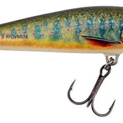 Wobler Salmo Minnow