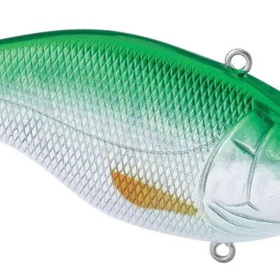 Wobler Spro Aruku Shad