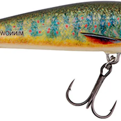 Wobler Salmo Minnow