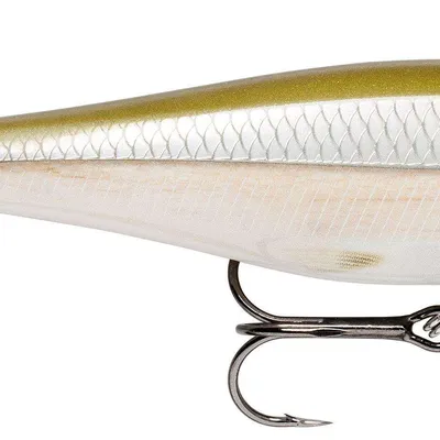 Wobler Rapala BX Minnow