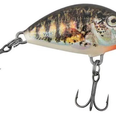 Wobler Salmo Tiny