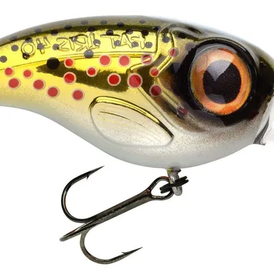 Wobler Spro Fat Iris Dr