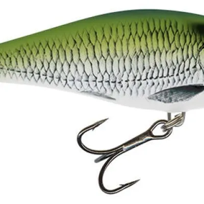 Wobler Salmo Executor