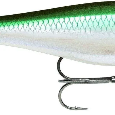 Wobler Rapala BX Minnow