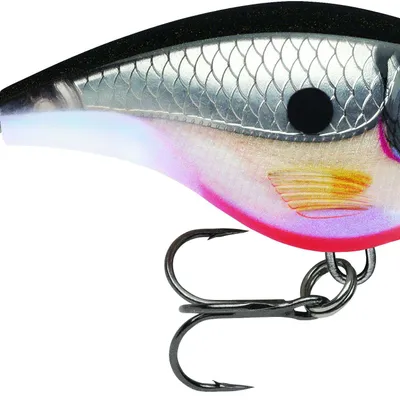 Wobler Rapala BX BRAT