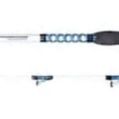 Wędka Dragon Boat Master Jig 200cm 40-200g